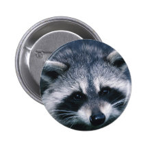Cute Racoon Close-Up Pin