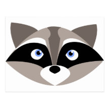 Cute Racoon Face Postcards