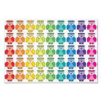 Cute Rainbow Owl Pattern.