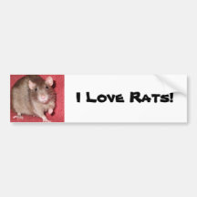 Cute Rat Bumper Stickers