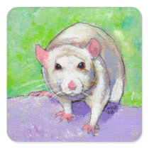 Cute rat listening fun colourful pet art white rat