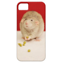Cute Rat with Peas iPhone 5 Cases
