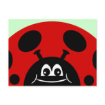 Cute Red and Black Ladybug Post Cards