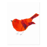 Cute Red Bird Post Cards