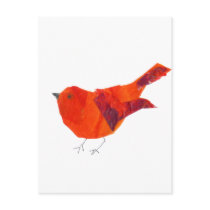 Cute Red Bird
