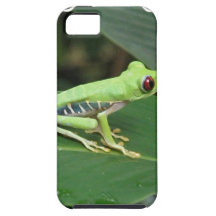 Cute Red Eyed Tree Frog iPhone 5 Cover