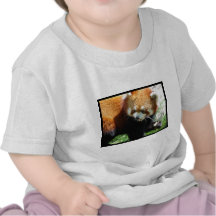 Cute Red Panda Bear Baby T-Shirt