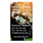 Cute Red Panda Bear Business Card