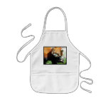 Cute Red Panda Bear Children's Smock Aprons