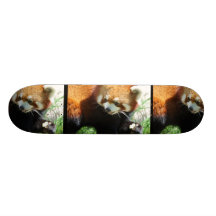 Cute Red Panda Bear Skateboard