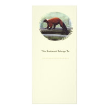 Cute Red-Ruffed Lemur Red Fur White Neck Bookmark Rack Cards