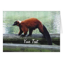 Cute Red-Ruffed Lemur Red Fur White Neck Card