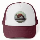 Cute Red-Ruffed Lemur Red Fur White Neck hats
