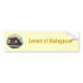 Cute Red-Ruffed Lemur Red Fur White Neck Room Bumper Sticker