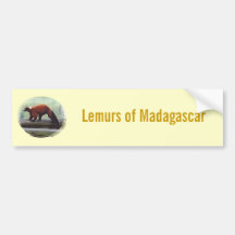 Cute Red-Ruffed Lemur Red Fur White Neck Room Bumper Sticker