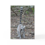 Cute Ring-Tailed Lemur Photo cards