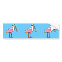 Cute Roseate Spoonbill