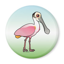 Cute Roseate Spoonbill
