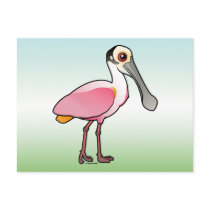 Cute Roseate Spoonbill