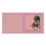 Cute Rottweiler Birthday Photo Card Template