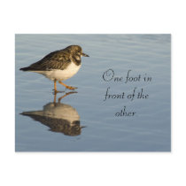 Cute Sadpiper Bird Motivational Postcard