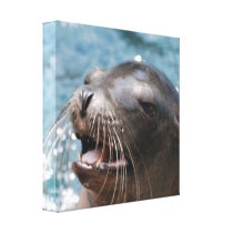 Cute Sea Lion  Canvas Print