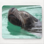 Cute Sea Lion Swimming mousepads