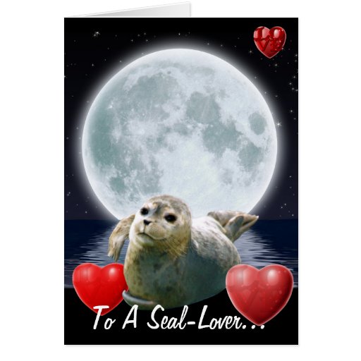 Cute Seallover Birthday Card Zazzle