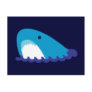 Cute Shark Post Card