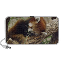 Cute Sleeping Red Panda w/ Food in Its Mouth Speakers