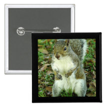 Cute Squirrel Button