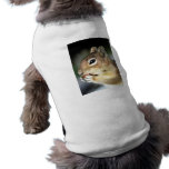 Cute Squirrel Close-Up pet clothing