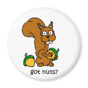 Cute squirrel got nuts magnets