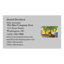 Cute Squirrel in a Basket Business Cards