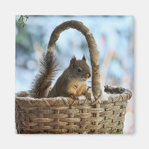Cute Squirrel in a Basket in Winter Refrigerator Magnet