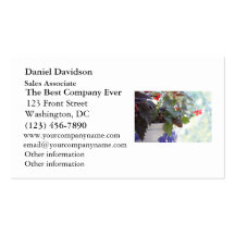 Cute Squirrel in a Flower Pot Business Card Template