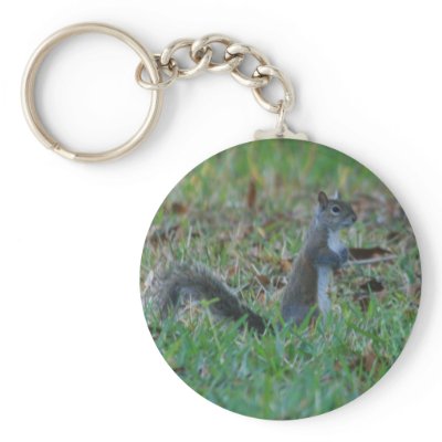 Cute Squirrel Key Chains by shinobi9
