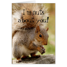 Cute Squirrel "Nuts About You" Card