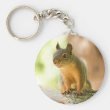 Cute Squirrel Smiling Keychain