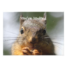 Cute Squirrel Smiling Macro Photo Personalised Announcement