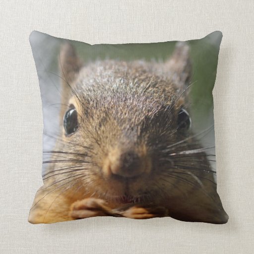 Funny Squirrels Cushions, Funny Squirrels Cushions