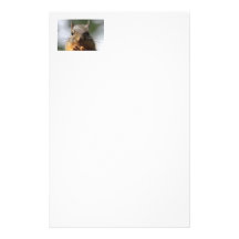 Cute Squirrel Smiling Photo Custom Stationery