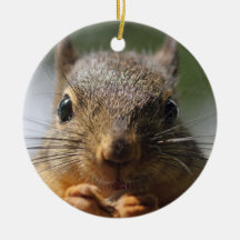 Cute Squirrel Smiling Photo Christmas Tree Ornament
