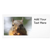 Cute Squirrel Smiling Photo Photo Card