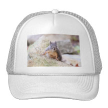 Cute Squirrel Staring Mesh Hat
