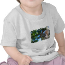Cute Squirrel T-shirts