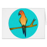 Cute Sun Conure - Light Blue Background cards