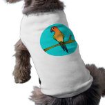 Cute Sun Conure - Light Blue Background pet clothing