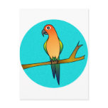 Cute Sun Conure - Light Blue Background postcards