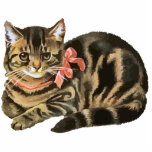 Cute Tabby Calico Cat / Kitten Photo Sculpture photo sculptures